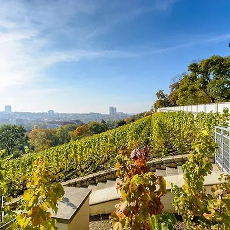 Luxury With Terrace And Garage *