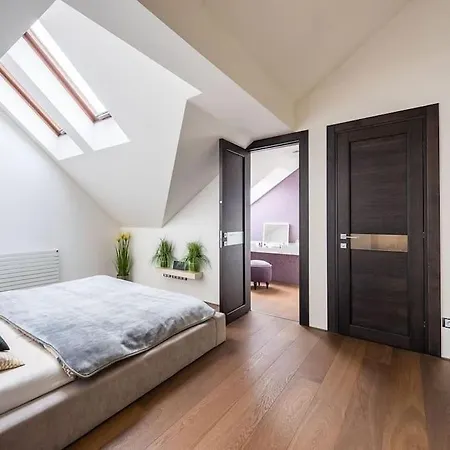 Luxury With Terrace And Garage Apartment